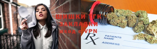 гидра Мегион