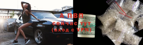 ПСИЛОЦИБИНОВЫЕ ГРИБЫ Медногорск