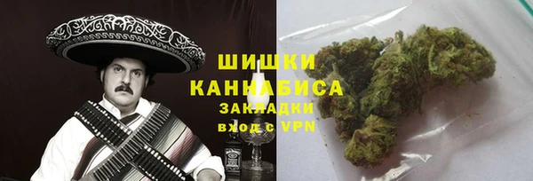 ПСИЛОЦИБИНОВЫЕ ГРИБЫ Медногорск