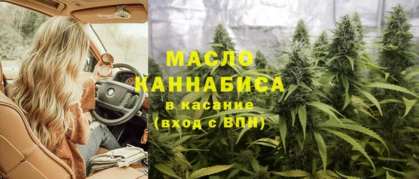 гидра Мегион