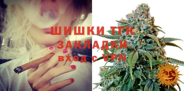 гидра Мегион