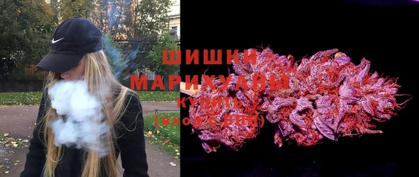гидра Мегион