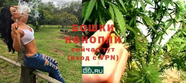 ПСИЛОЦИБИНОВЫЕ ГРИБЫ Медногорск