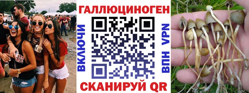Купить закладки  Приморско-Ахтарск  Галлюциногенные грибы мицелий 